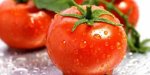 تصویر 2 از قیمت با کیفیت ارزان رب گوجه فرنگی همدانیان + خرید عمده